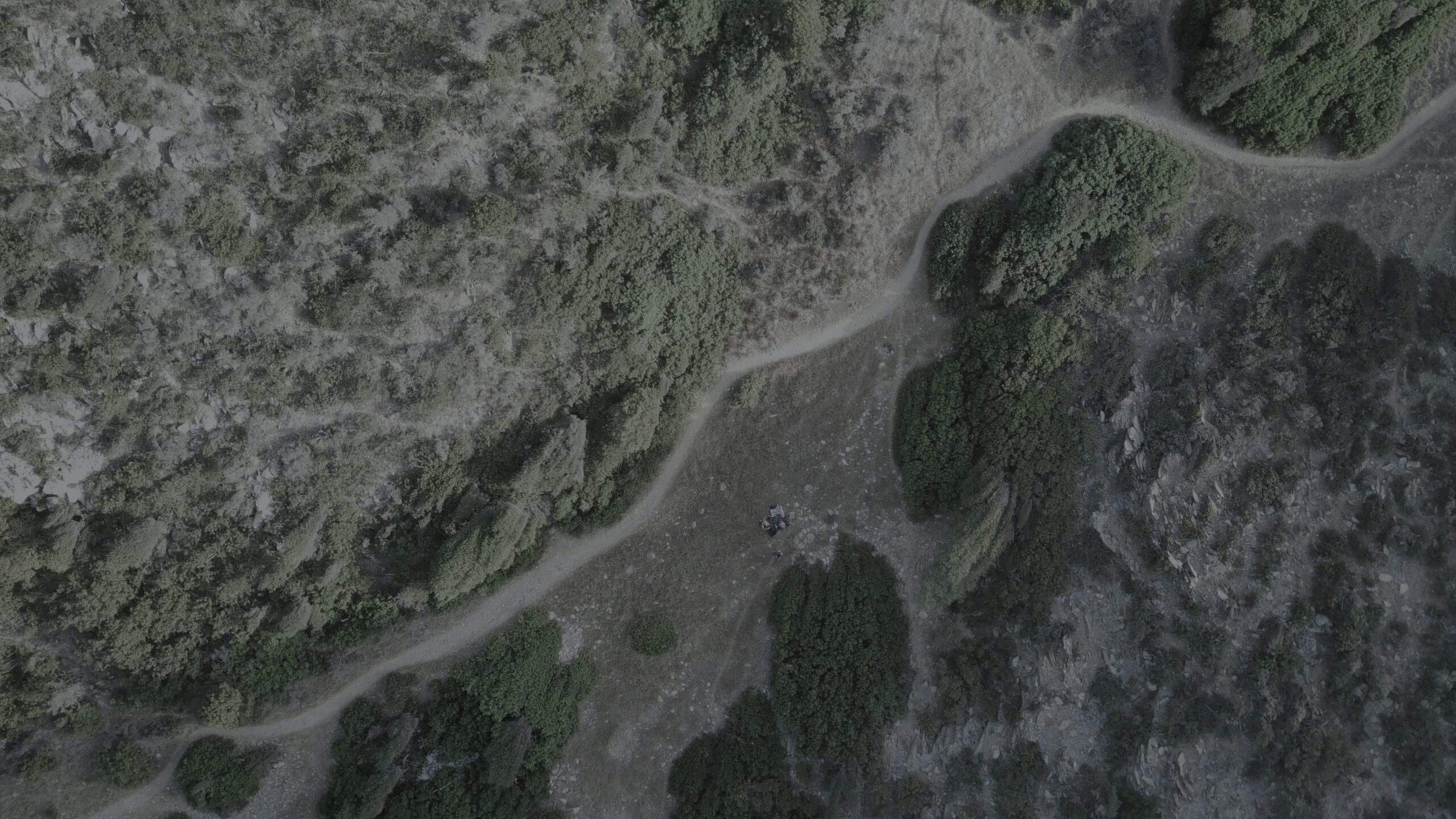 Second Quarter 2025 Memo: Dollars and Dislocations